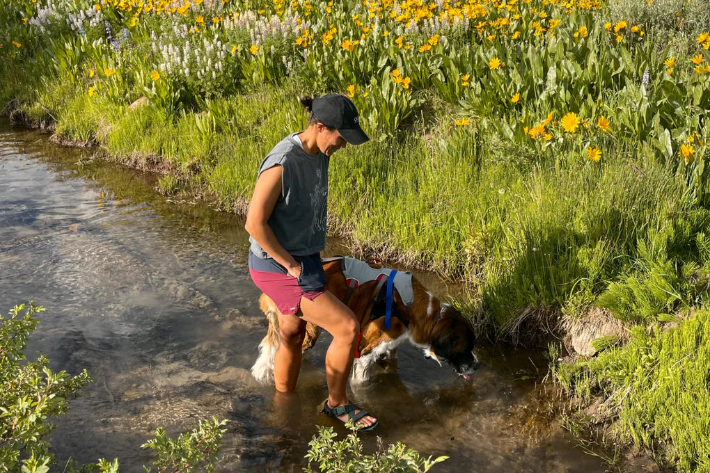 Adapting & Adventuring: The Story of Bree & Elle