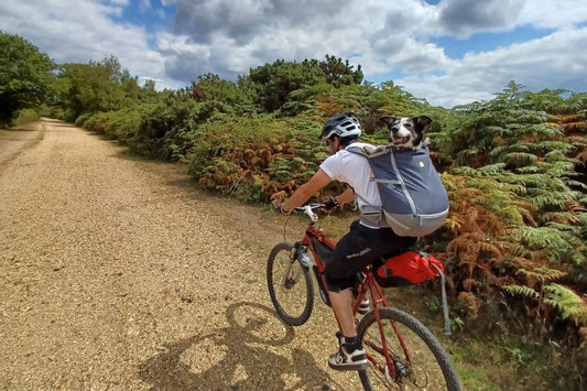 Carrying On: How Tess & Pete Keep the Adventure Going with the Hitch Hiker™ Dog Backpack Carrier