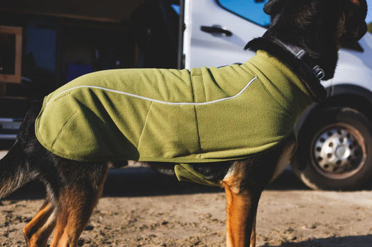 Dog Apparel Cleaning & Repair Tips