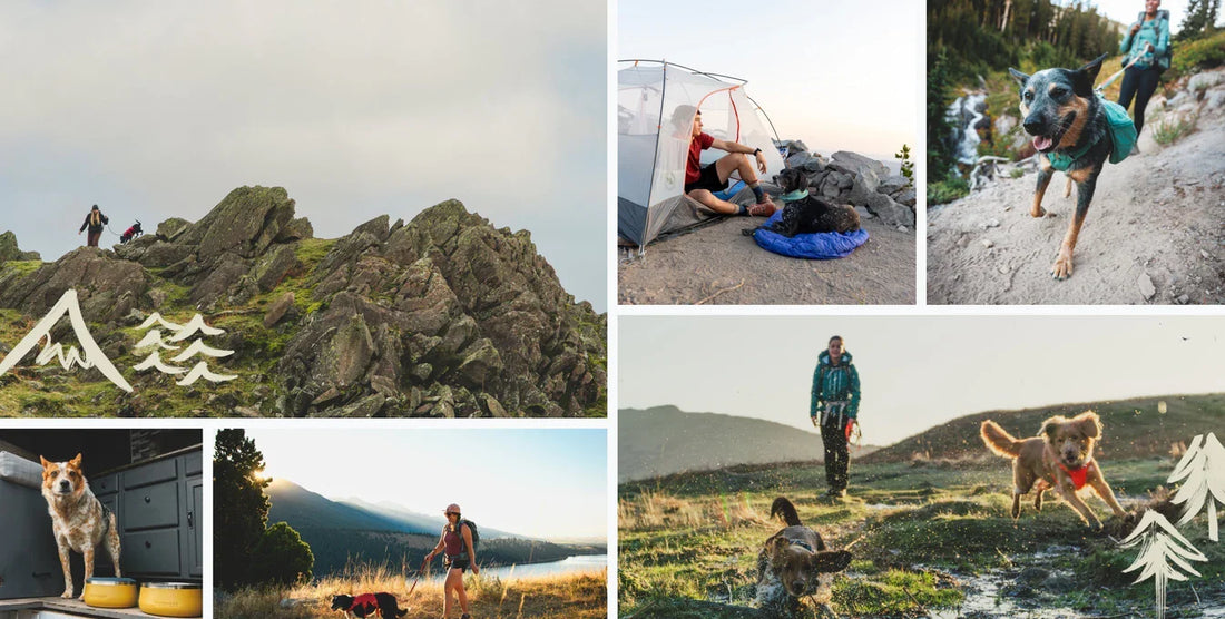 Ruffwear x Hipcamp: The Best Dog-Friendly Campsites for Hiking