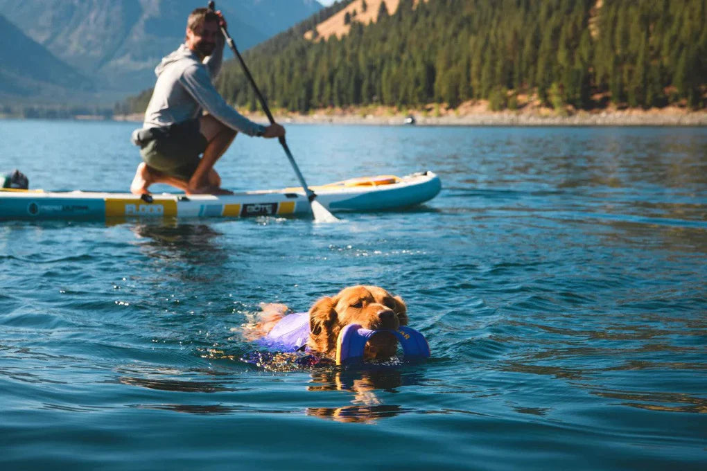 5 Things Your Dog Wants To Do With You This Summer
