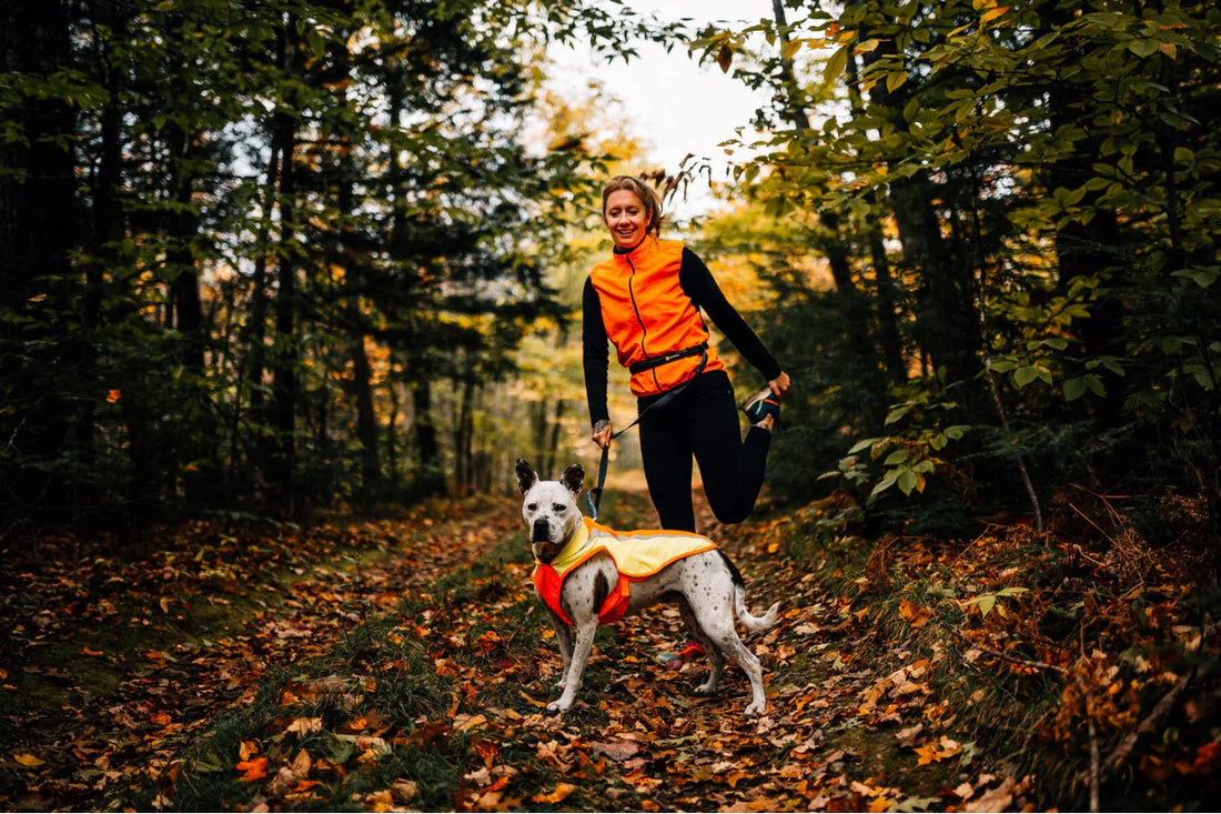 High-Visibility Dog Gear for Fall & Winter