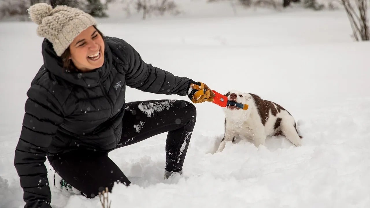 Ruffwear Pacific Ring_Tumalo Teal_Large