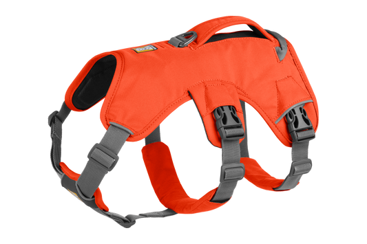 Ruffwear WebMaster Harness