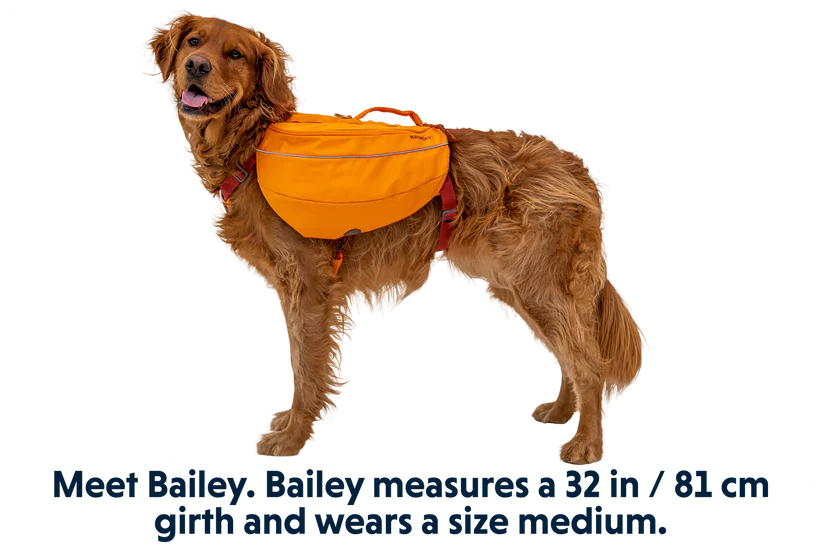Ruffwear Approach Pack™