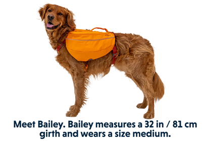Ruffwear Approach Pack™