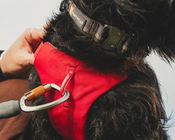 Hardware Innovation at Ruffwear