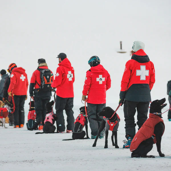 Working Dog Partnerships