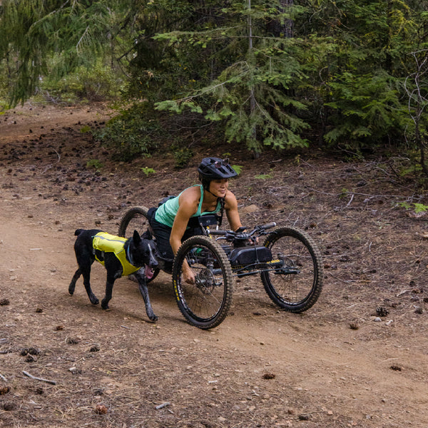 ACHIEVE SCIENCE-BASED TARGETS (SBT) BY 2029