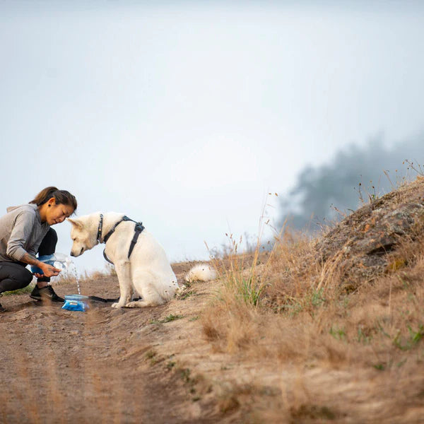 BETTER WITH EACH DESIGN