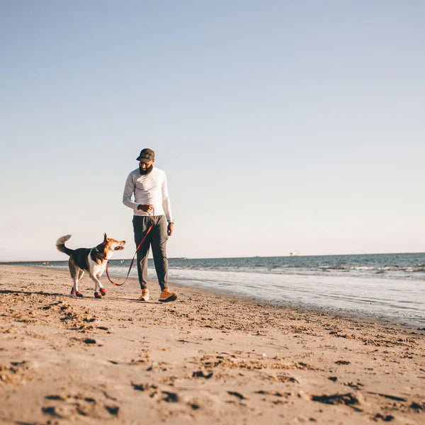 CLIMATE NEUTRAL BY 2027