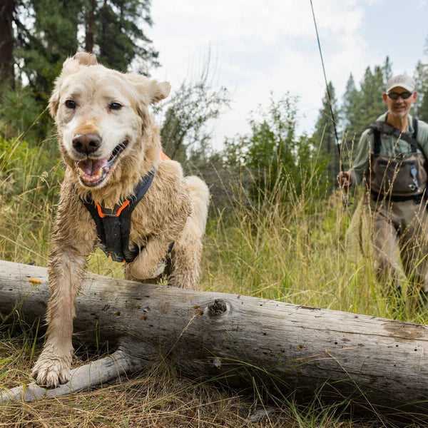 CLIMATE POSITIVE BY 2030