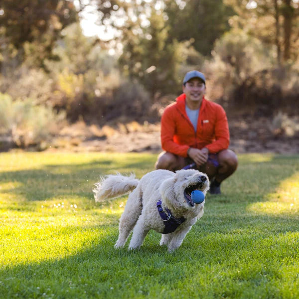 SUSTAINABLE SOURCING