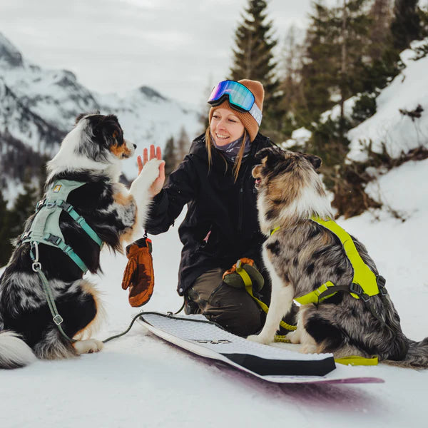 STEPHI, NALA & LAIKA