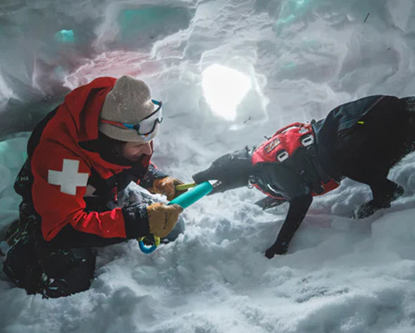 Behind the Scenes, Beneath the Snow