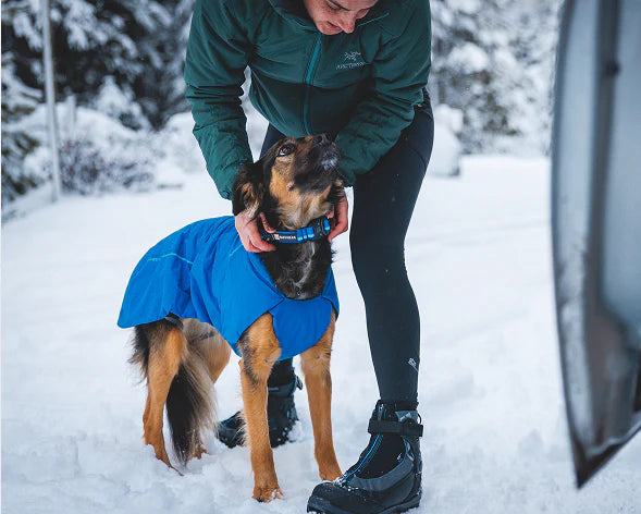 Pack Picks for Winter Gear