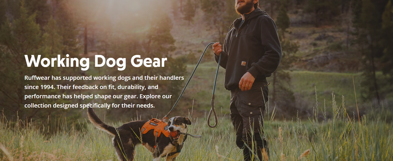 Working Dogs Full Image