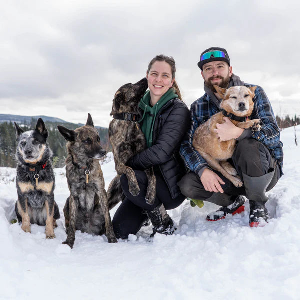  ALICIA, CALI, LOOT, RUGER & SVEN